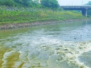 易县污水清运多少钱